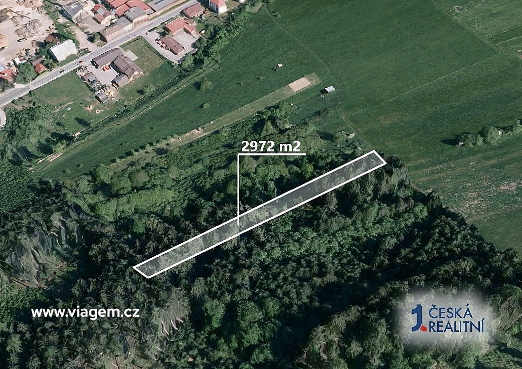 Prodej lesa 743 m² – fotografie 2