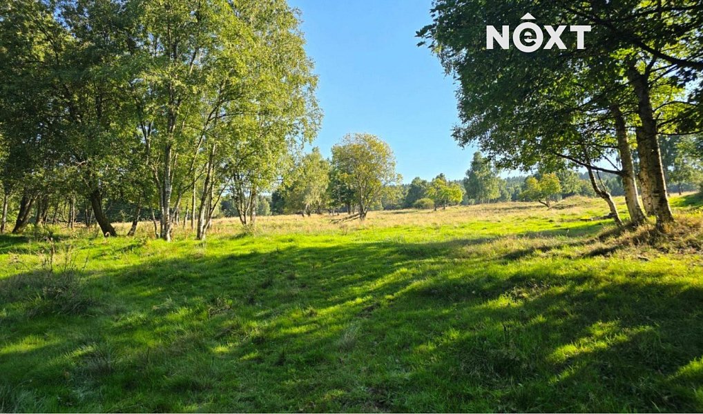 Prodej louky 68 906 m², Hora Svaté Kateřiny – náhled fotky 9
