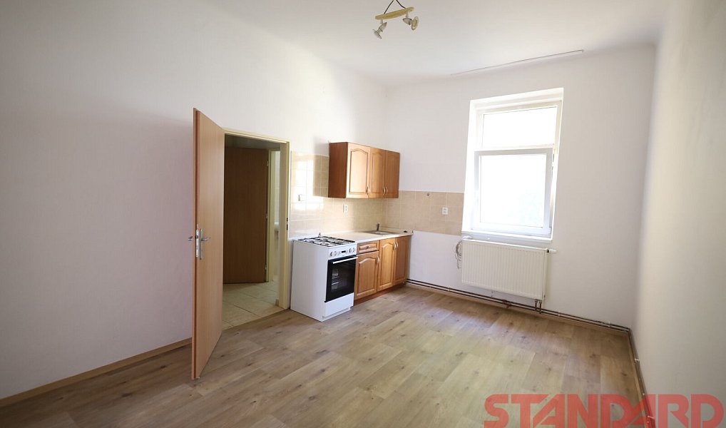 Pronájem bytu 1+1 45 m², Plzeň – náhled fotky 11