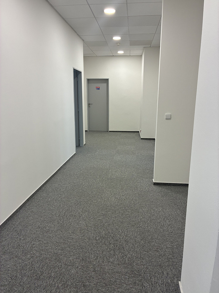 Pronájem kanceláře 350 m²