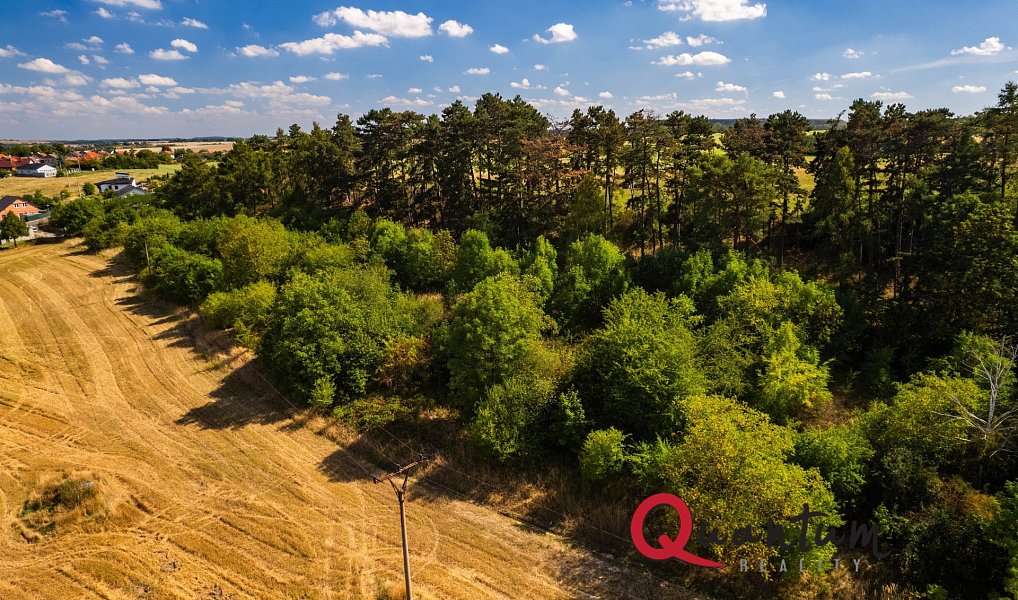 Prodej stavebního pozemku 16 339 m², Brandýsek – náhled fotky 34