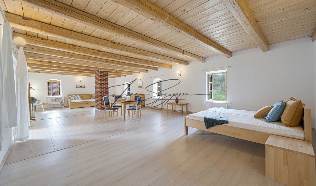 Prodej domu 594 m² s pozemkem 13 331 m², Olešná – náhled fotky 45