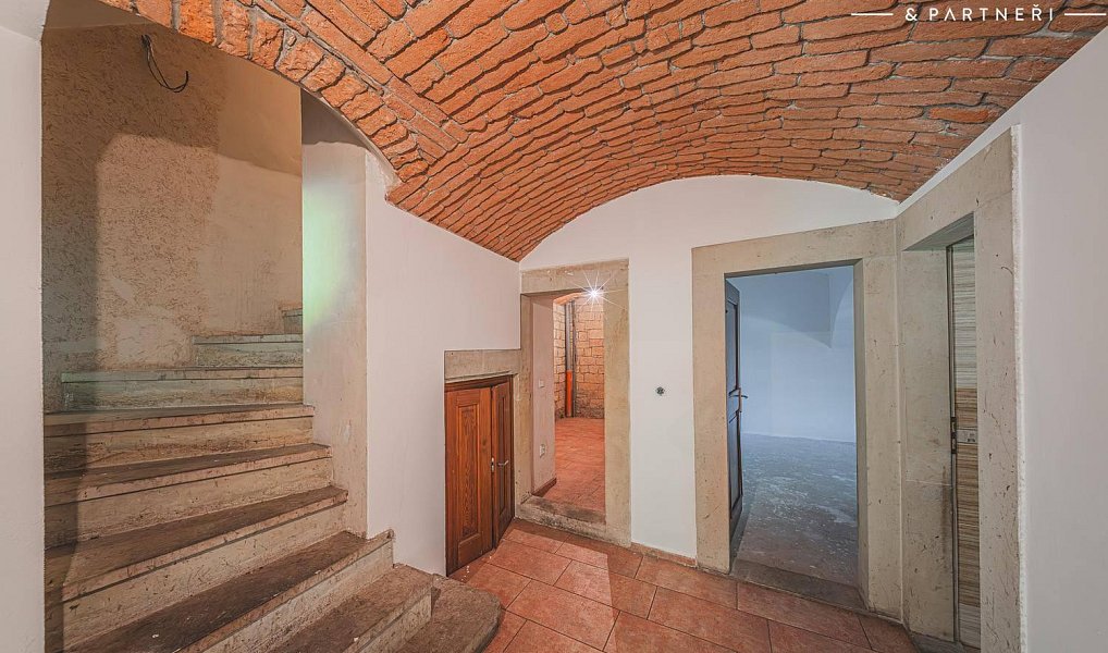 Prodej domu 300 m² s pozemkem 5 559 m², Hořice – náhled fotky 13