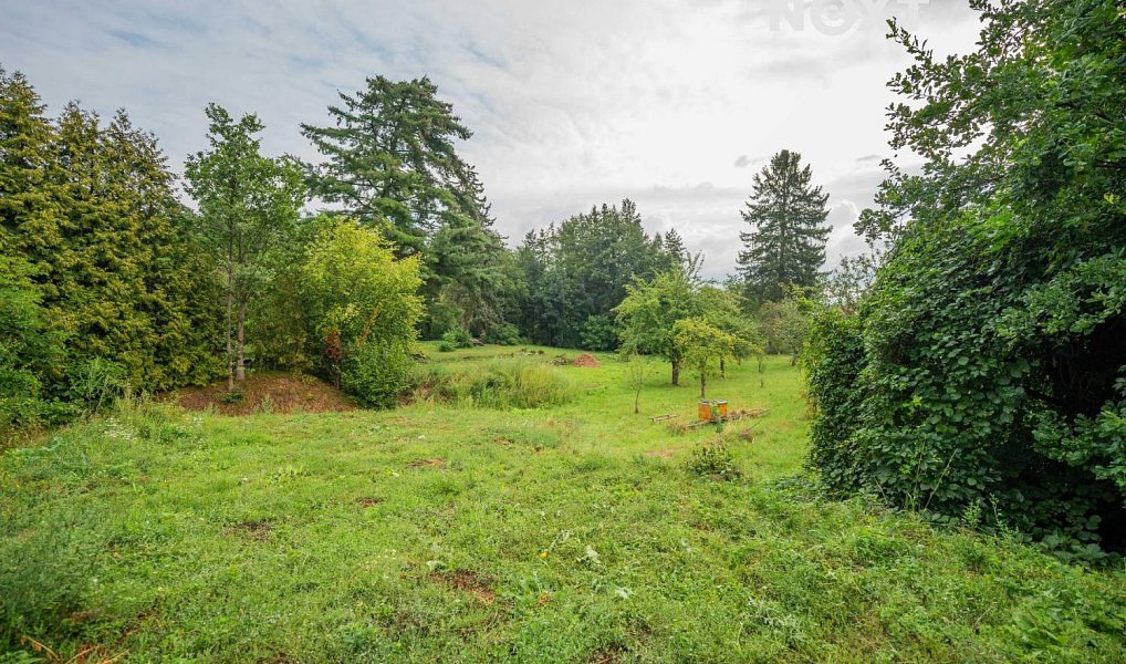 Prodej stavebního pozemku 3 456 m², Loštice – náhled fotky 7