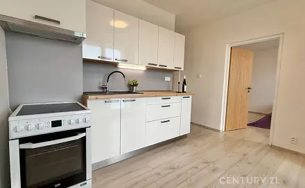 Prodej bytu 1+1 48 m², Horácké náměstí, Brno - Řečkovice