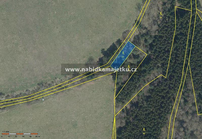 Prodej lesa 534 m²