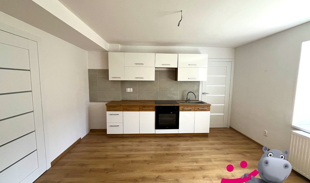 Prodej nájemního domu, činžáku 315 m², Uhelná – náhled fotky 3