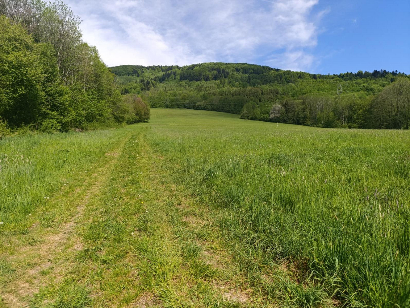 Prodej stavebního pozemku 1 484 m² – fotografie 4