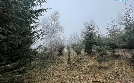 Prodej lesa 20 974 m², Stará Paka, okres Jičín