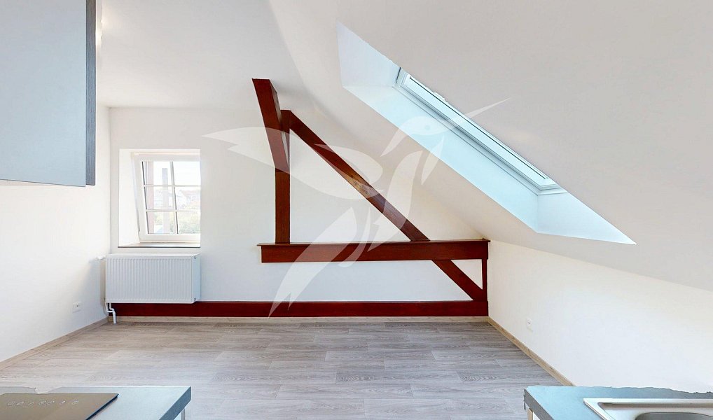 Pronájem bytu 1+kk 26 m², Šťáhlavy – náhled fotky 8