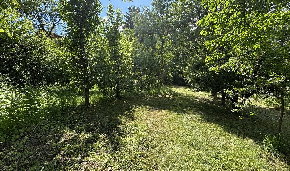Prodej chaty/chalupy 20 m² s pozemkem 1 500 m², Luka nad Jihlavou – náhled fotky 9