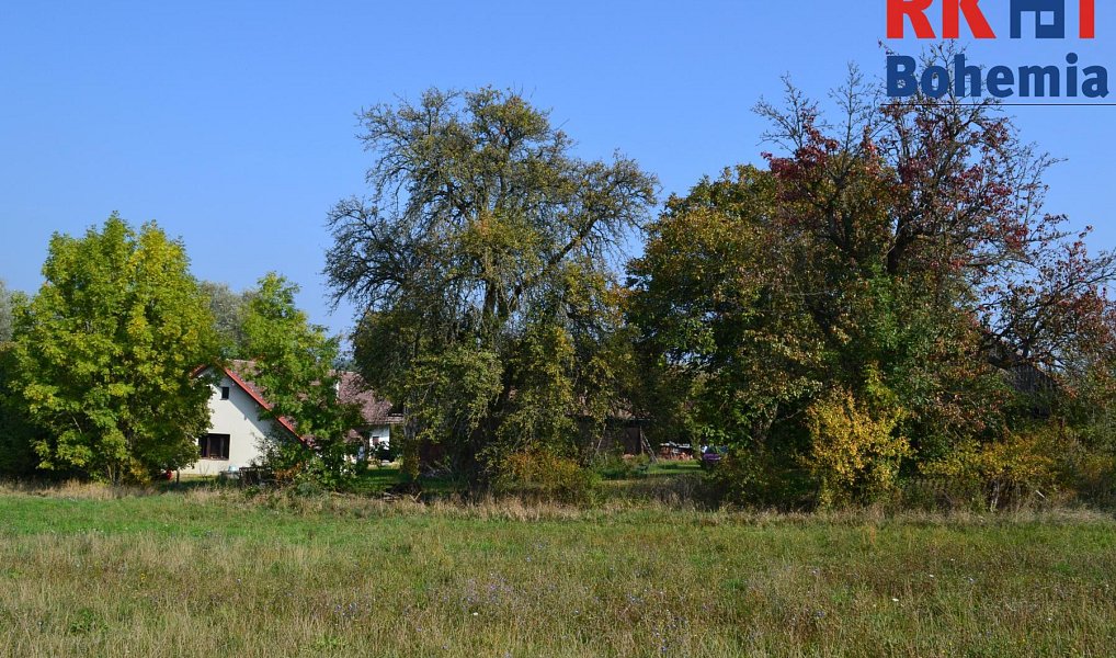 Prodej chaty/chalupy 120 m² s pozemkem 16 365 m², Cholenice – náhled fotky 2