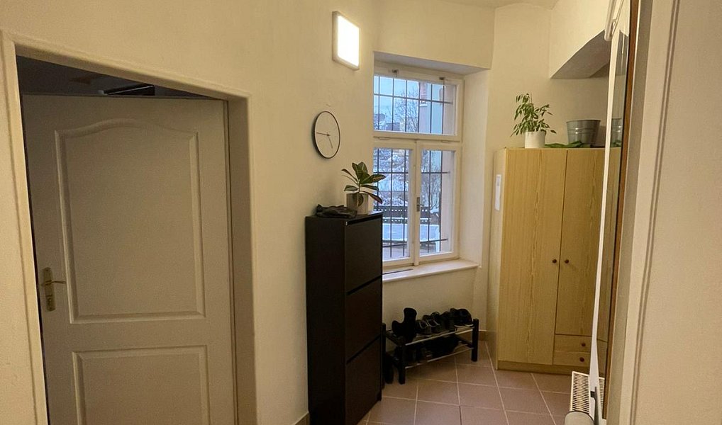 Pronájem bytu 1+1 42 m², Praha – náhled fotky 4