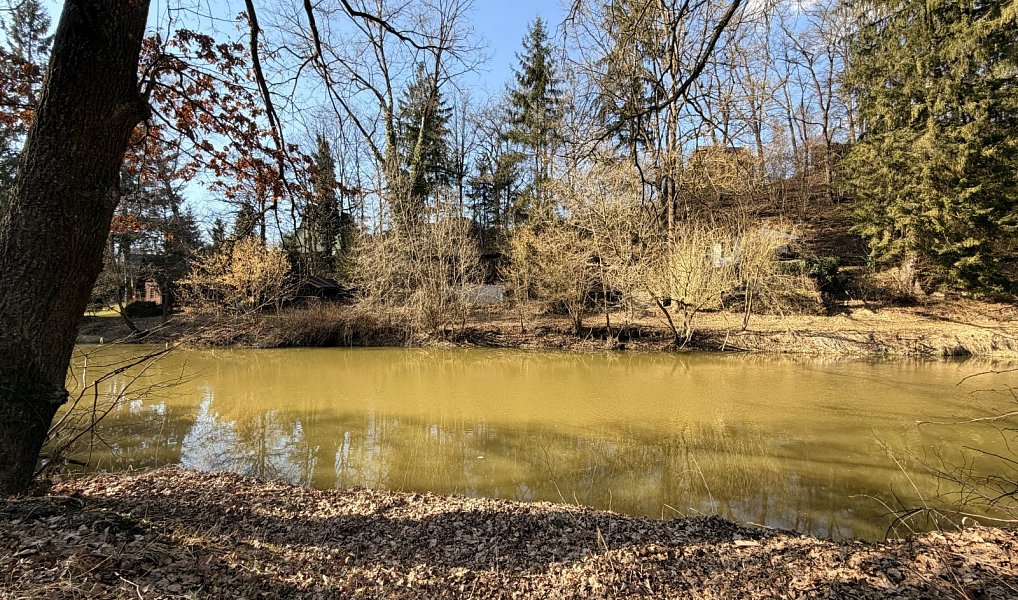 Prodej chaty/chalupy 20 m² s pozemkem 220 m², Římov – náhled fotky 9
