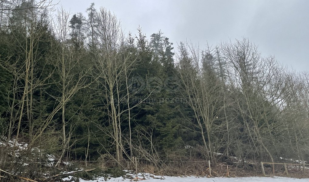 Prodej lesa 89 634 m², Řetová – náhled fotky 6