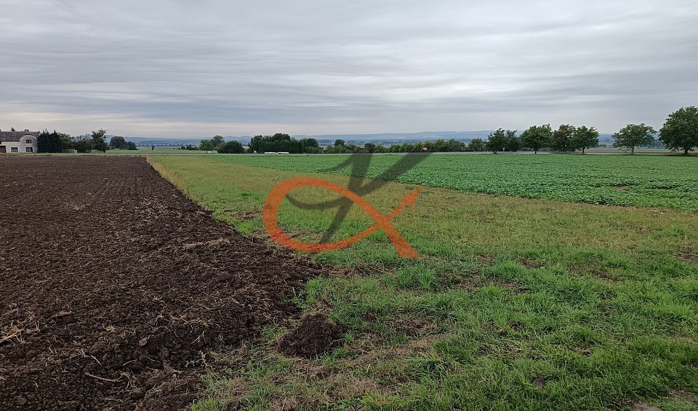 Prodej stavebního pozemku 1 343 m², Stará Ves – náhled fotky 3