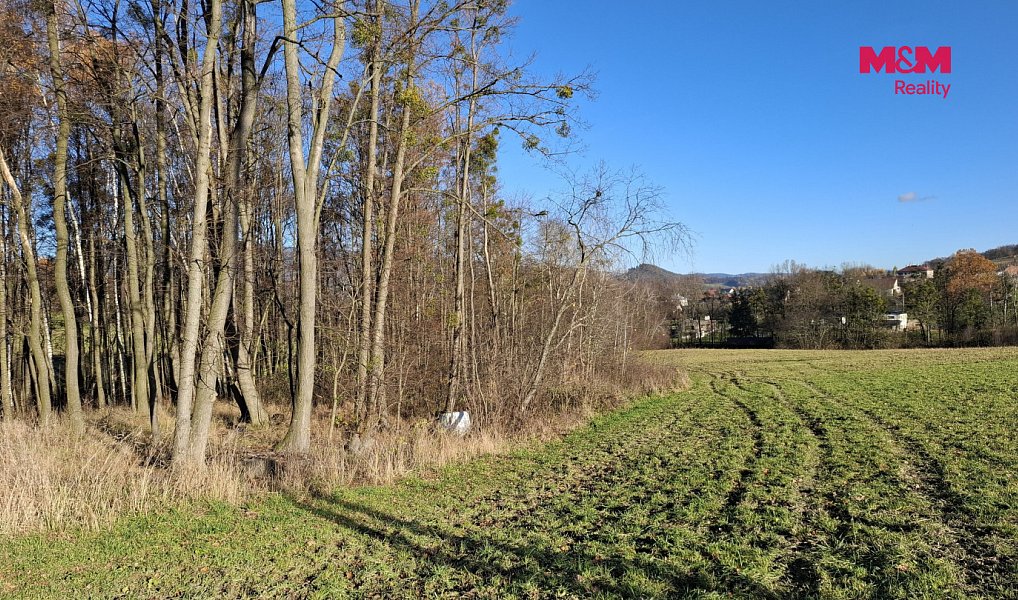 Prodej pole 6 589 m², Rožnov pod Radhoštěm – náhled fotky 6