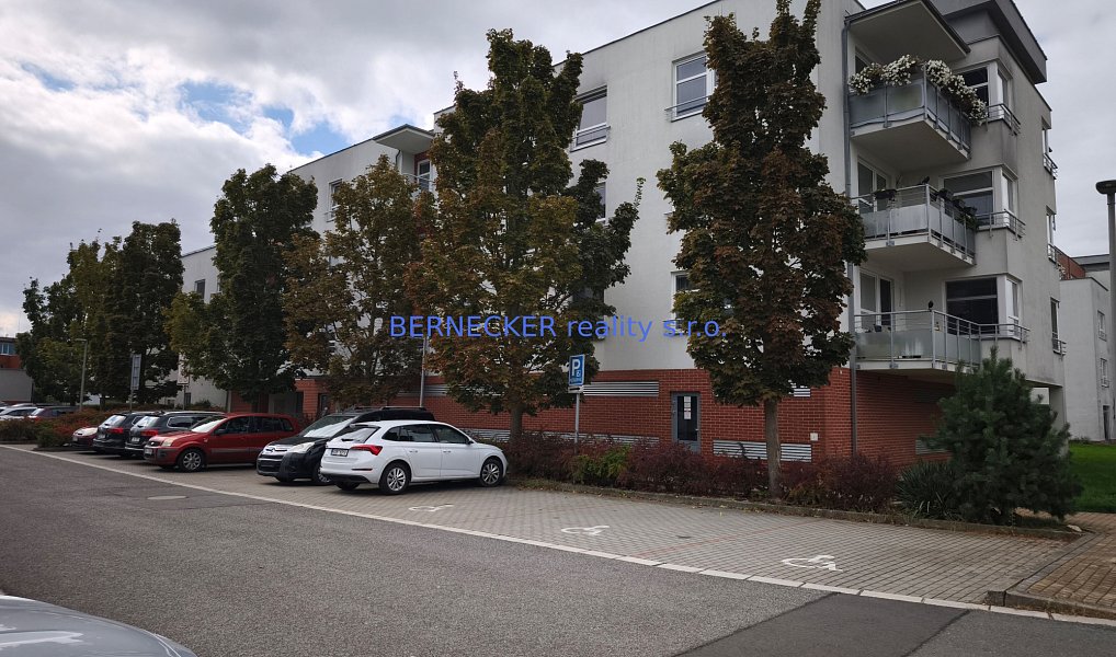 Pronájem bytu 1+kk 30 m², Hradec Králové – náhled fotky 11