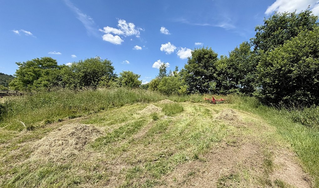 Prodej zemědělského objektu 421 m², Týnec nad Sázavou – náhled fotky 38
