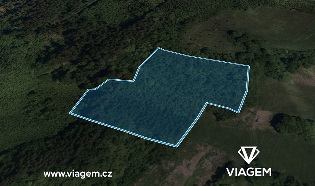 Prodej lesa 13 331 m², Vsetín – náhled fotky 2