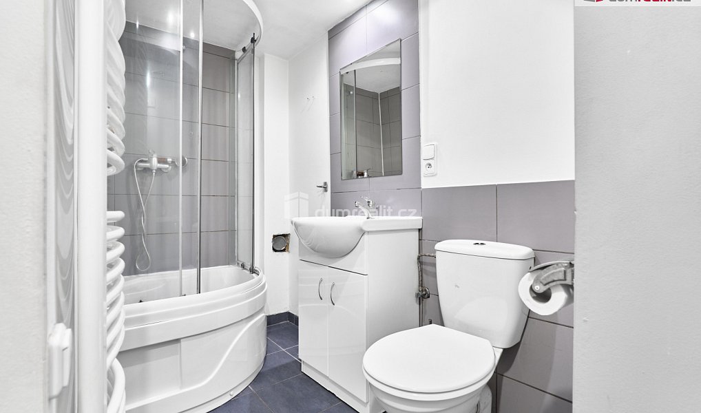 Prodej domu 100 m² s pozemkem 48 m², Ostrov – náhled fotky 7