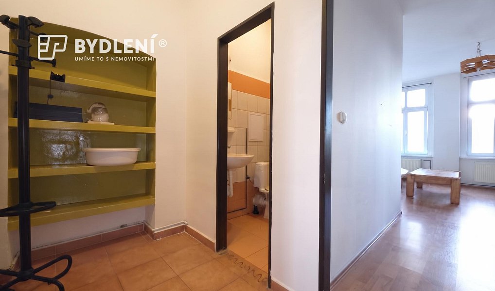 Pronájem bytu 1+1 48 m², Teplice – náhled fotky 9