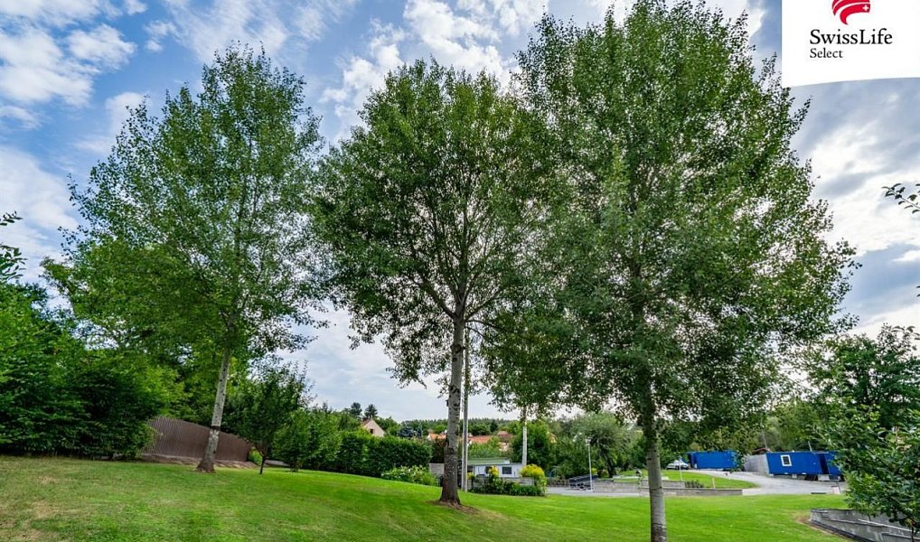 Prodej stavebního pozemku 4 611 m², Krňany – náhled fotky 6