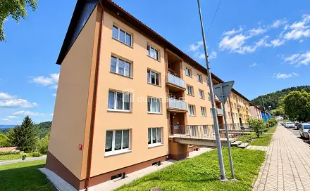Prodej bytu 1+1 38 m², náměstí Horní, Oloví, okres Sokolov