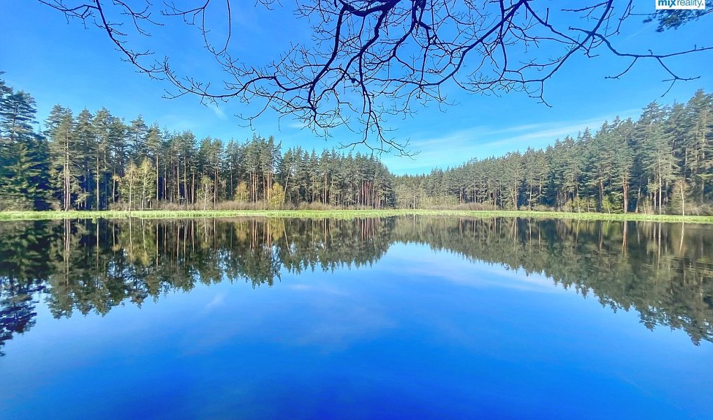 Prodej vodní plochy 16 545 m², Trstěnice – náhled fotky 2