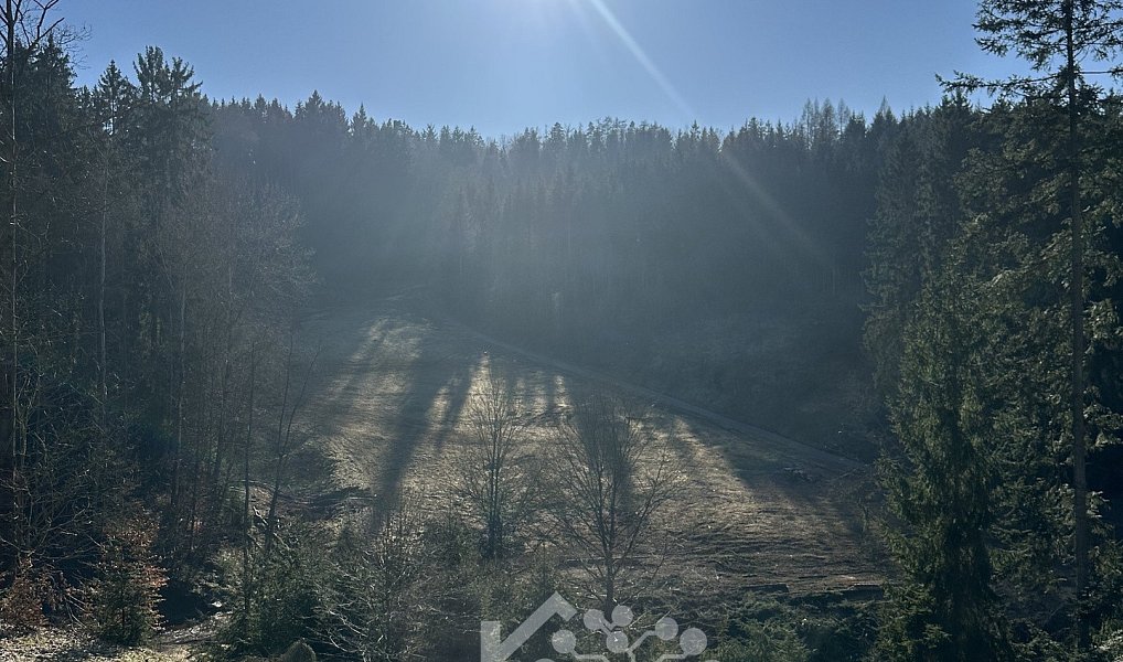 Prodej louky 14 441 m², Bozkov – náhled fotky 8