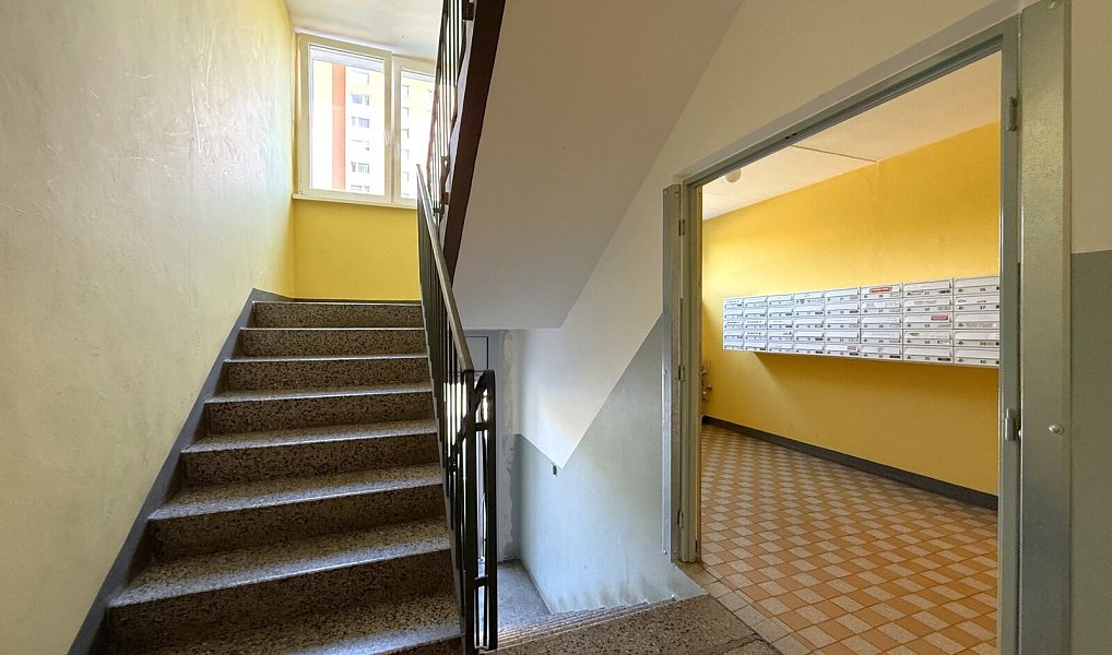 Pronájem bytu 1+kk 35 m², Plzeň – náhled fotky 10