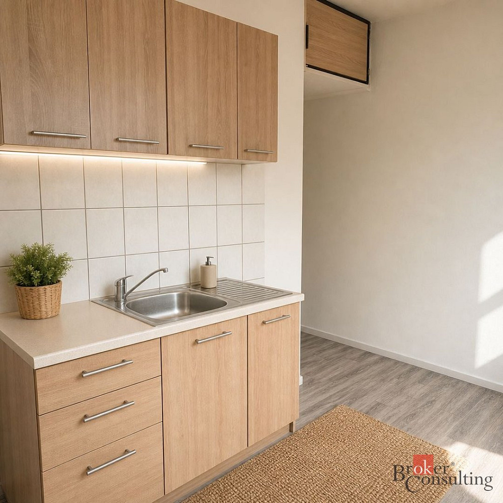 Prodej bytu 2+1 47 m² – pohled 2