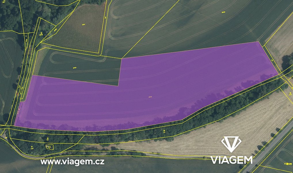 Prodej pole 38 624 m², Nové Dvory – náhled fotky 4