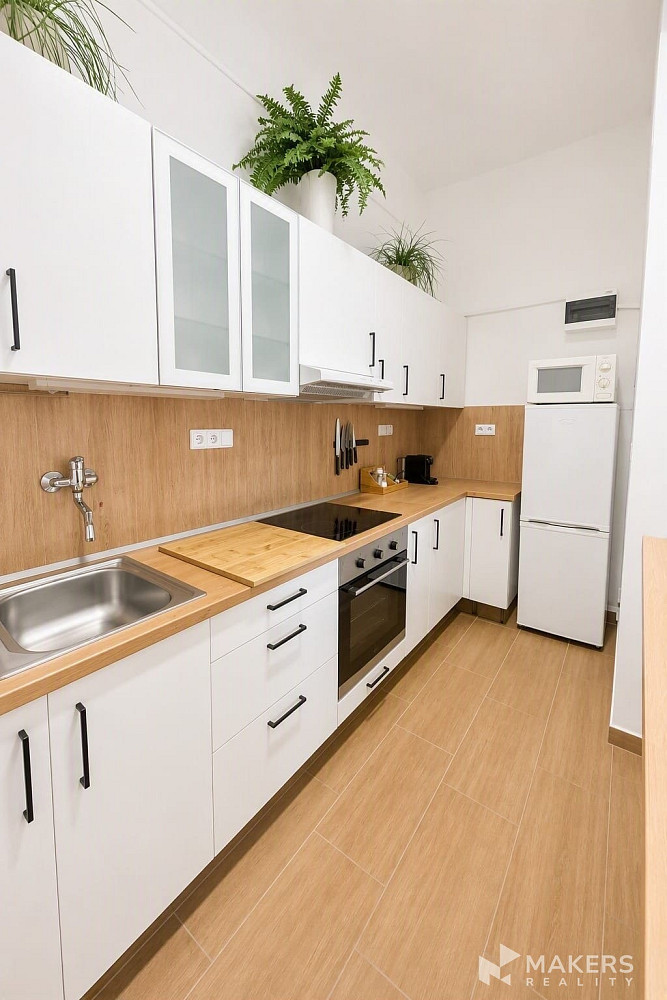Pronájem bytu 2+1 55 m² – fotografie 4