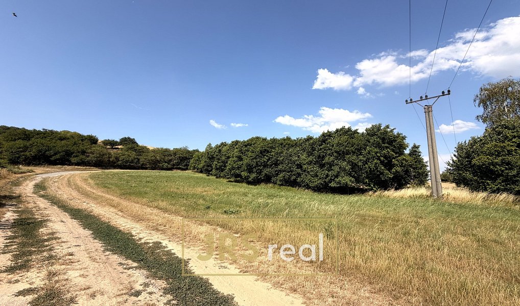 Prodej komerčního pozemku 3 025 m², Boleradice – náhled fotky 8