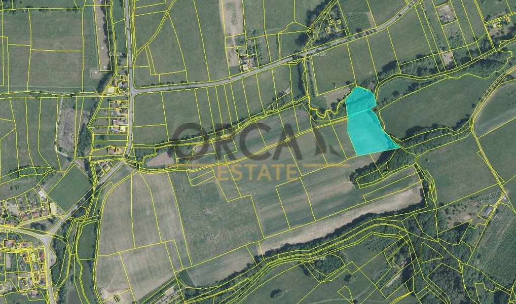 Prodej pole 15 992 m², Březůvky – náhled fotky 3