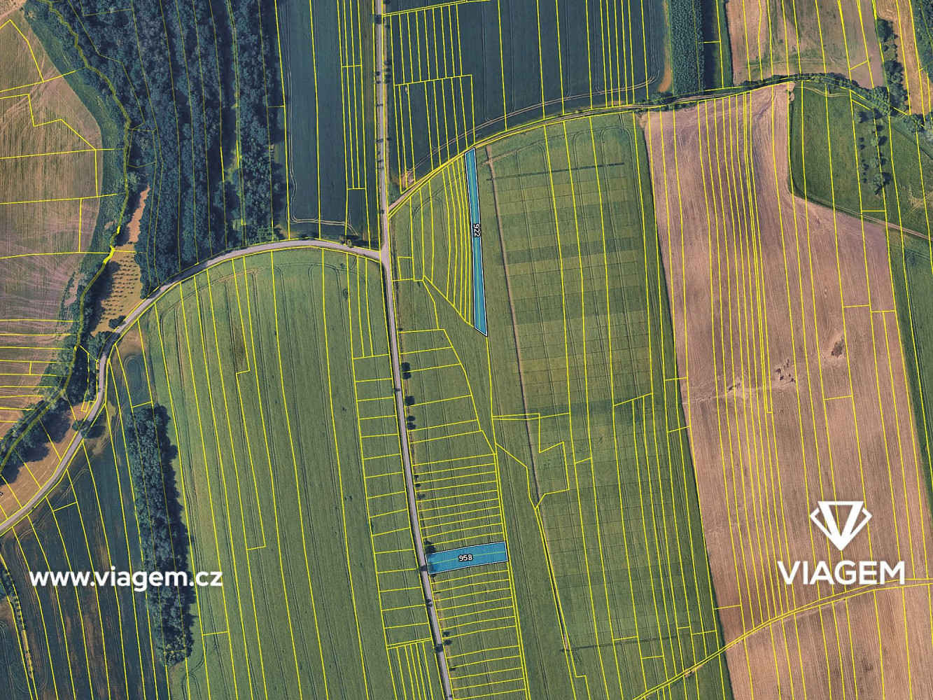 Pole 3 556 m², Podíl 25 % o výměře 889 m² – pohled 4