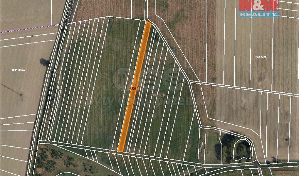 Prodej pole 3 419 m², Starovičky – náhled fotky 4