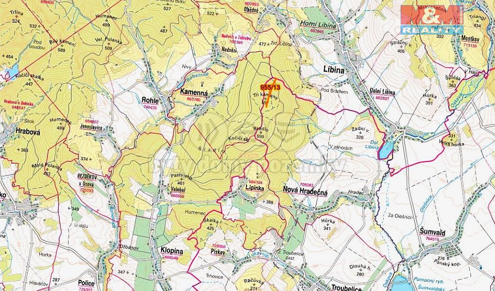 Prodej lesa 5 695 m², Nová Hradečná – náhled fotky 2