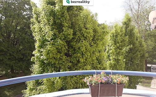 Prodej bytu 1+kk 34 m², Živného, Brno - Bystrc