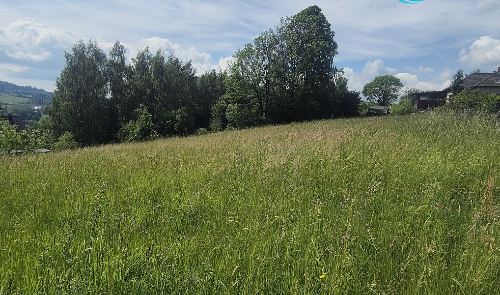 Prodej stavebního pozemku 1 068 m², Železný Brod – náhled fotky 4