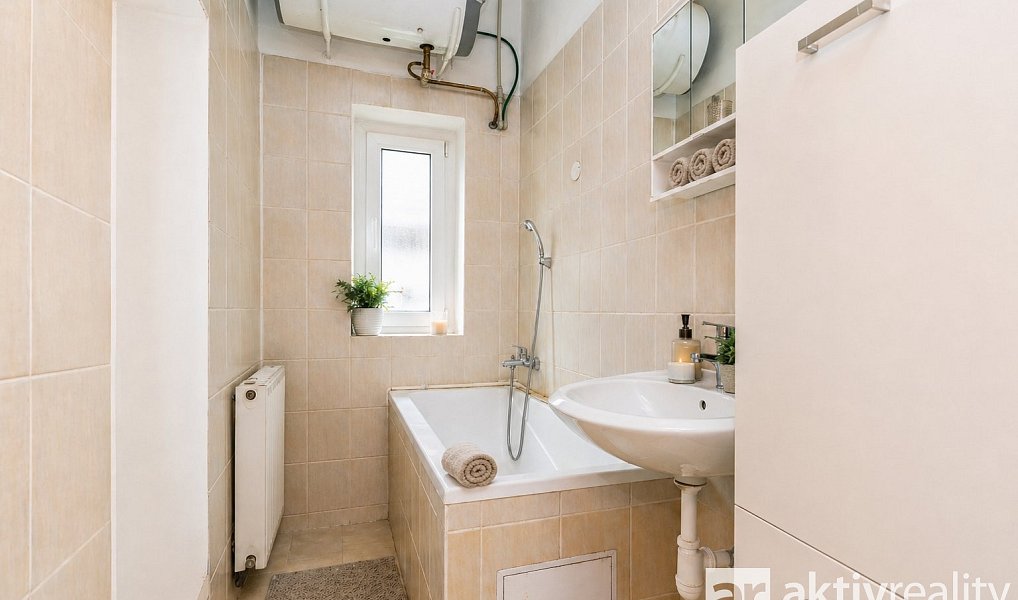 Prodej domu 250 m² s pozemkem 1 005 m², Dolní Zálezly – náhled fotky 29
