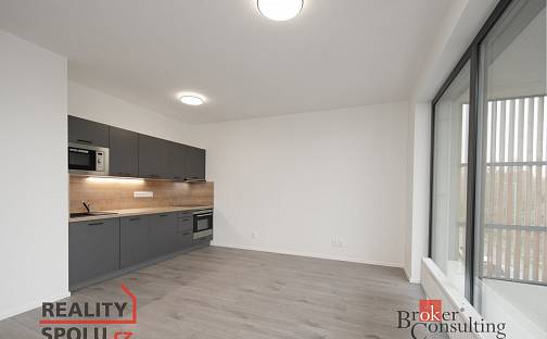 Pronájem bytu 1+kk 34 m², Kartónová, Plzeň - Východní Předměstí