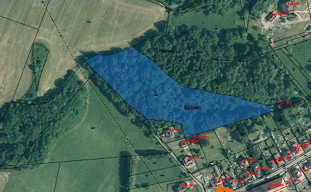 Prodej lesa 1 820 m², Kolinec, okres Klatovy