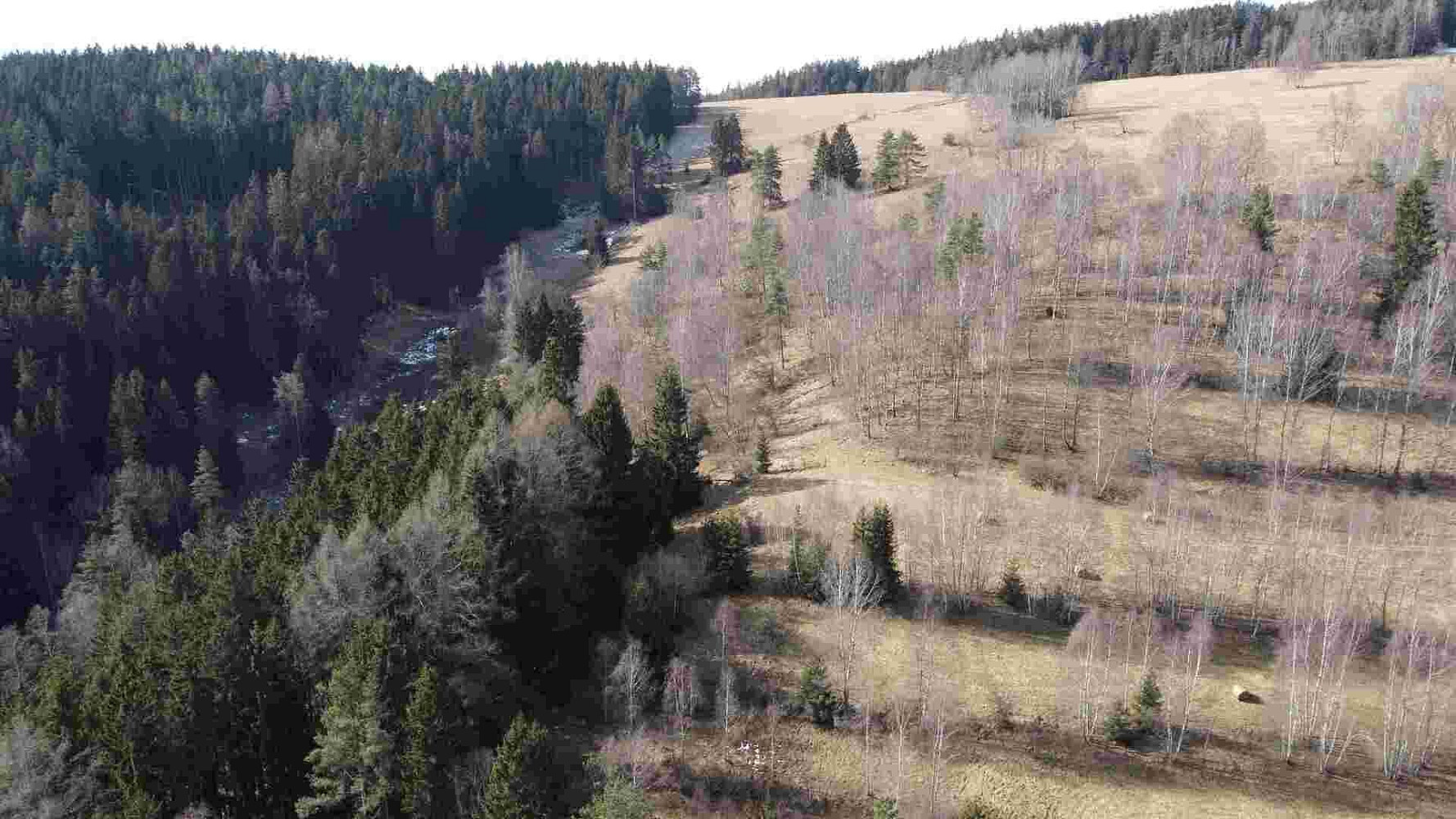 Prodej pole 3 869 m² – fotografie 2