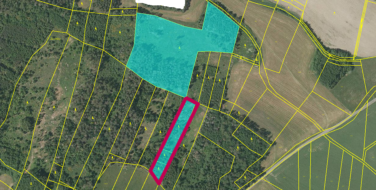 Prodej lesa 3 635 m²