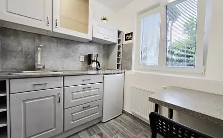 Pronájem bytu 1+kk 20 m², Nová, Lužná, okres Rakovník