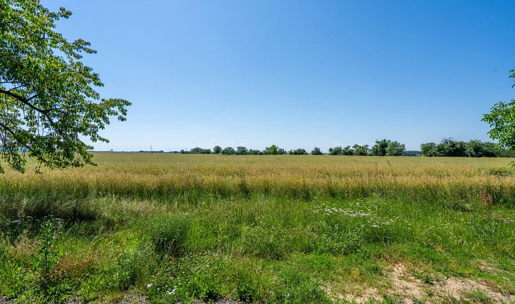 Prodej stavebního pozemku 14 692 m², Stěžery – náhled fotky 6