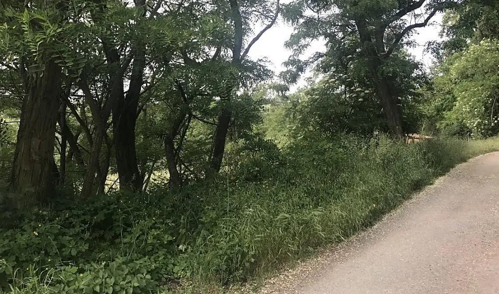 Prodej stavebního pozemku 2 500 m², Nebovidy – náhled fotky 4