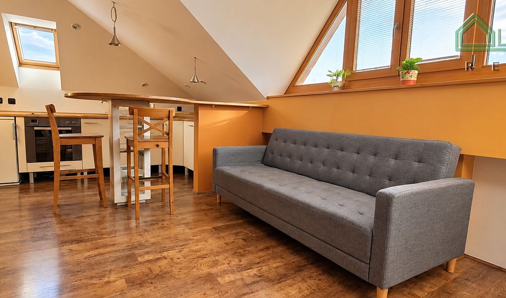 Pronájem bytu 1+kk, 50 m², Husovice - Brno-město, Brno